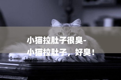 小貓拉肚子很臭-
小貓拉肚子，好臭！