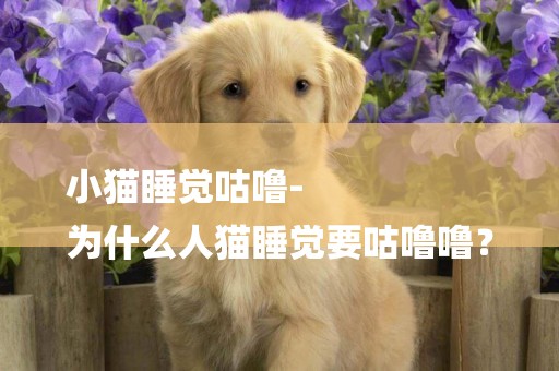 小貓睡覺咕嚕-
為什么人貓睡覺要咕嚕嚕？