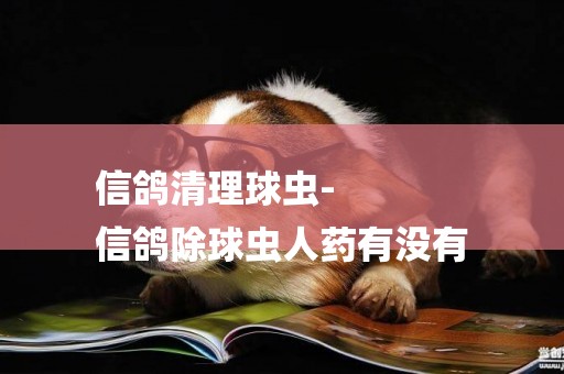 信鴿清理球蟲-
信鴿除球蟲人藥有沒有