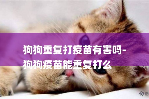 狗狗重復打疫苗有害嗎-
狗狗疫苗能重復打么