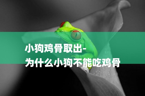 小狗雞骨取出-
為什么小狗不能吃雞骨