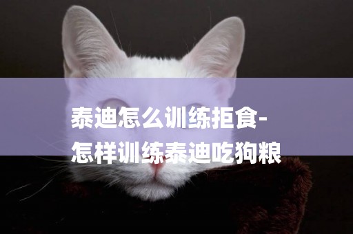 泰迪怎么訓練拒食-
怎樣訓練泰迪吃狗糧