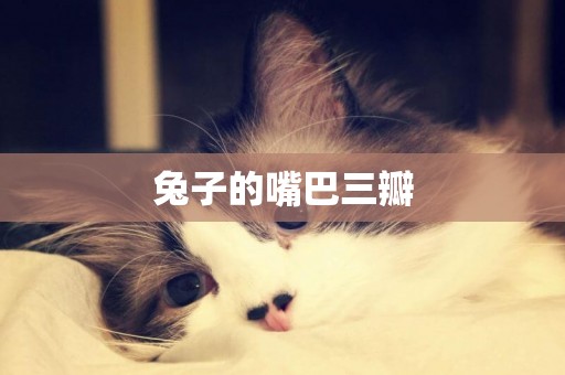 兔子的嘴巴三瓣