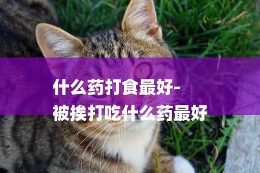 什么藥打食最好-
被挨打吃什么藥最好