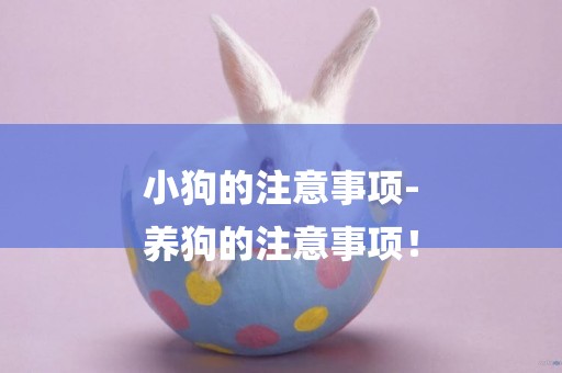 小狗的注意事項-
養狗的注意事項！