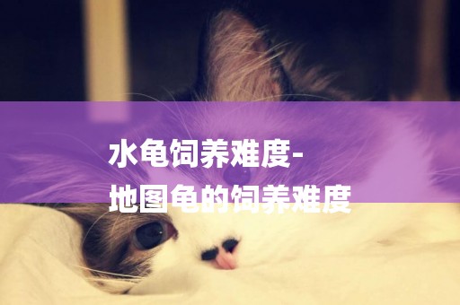 水龜飼養難度-
地圖龜的飼養難度