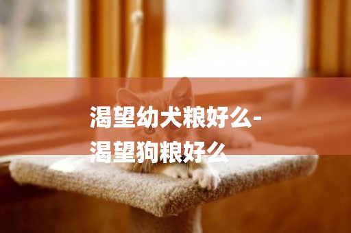渴望幼犬糧好么-
渴望狗糧好么