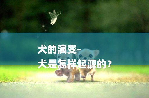 犬的演變-
犬是怎樣起源的？