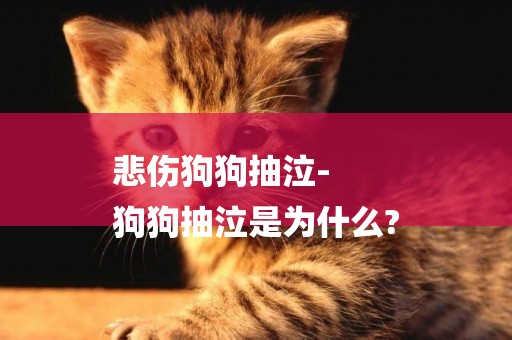 悲傷狗狗抽泣-
狗狗抽泣是為什么?