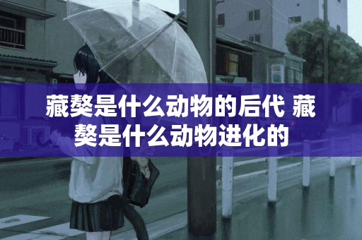 藏獒是什么動物的后代 藏獒是什么動物進化的