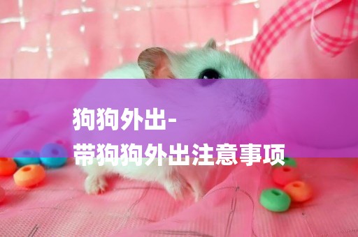 狗狗外出-
帶狗狗外出注意事項