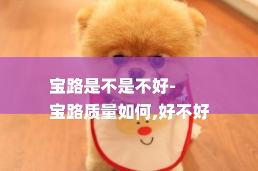 寶路是不是不好-
寶路質量如何,好不好