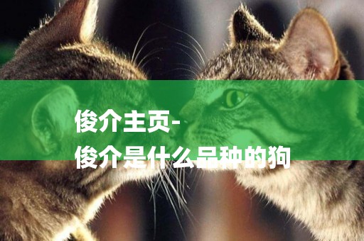 俊介主頁-
俊介是什么品種的狗