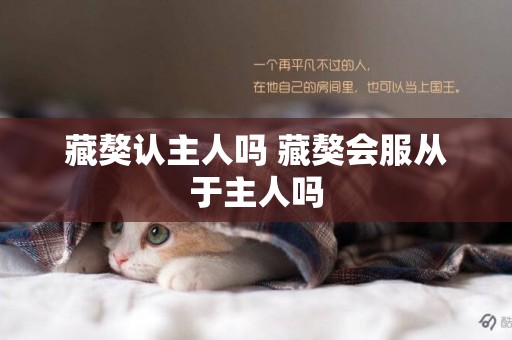 藏獒認主人嗎 藏獒會服從于主人嗎 藏獒認主人嗎 藏獒會服從于主人嗎