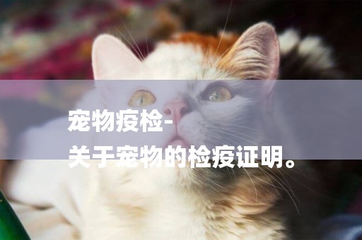 寵物疫檢-
關于寵物的檢疫證明。