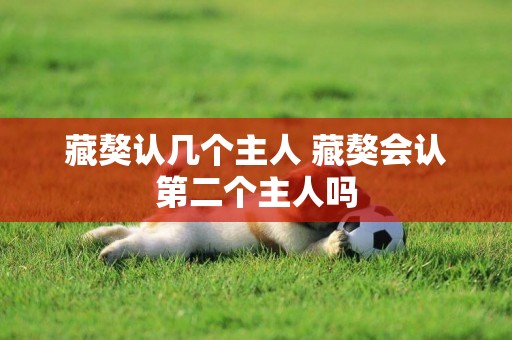 藏獒認幾個主人 藏獒會認第二個主人嗎 藏獒認幾個主人 藏獒會認第二個主人嗎