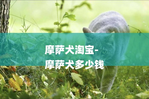 摩薩犬淘寶-
摩薩犬多少錢