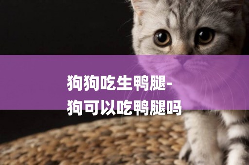 狗狗吃生鴨腿-
狗可以吃鴨腿嗎