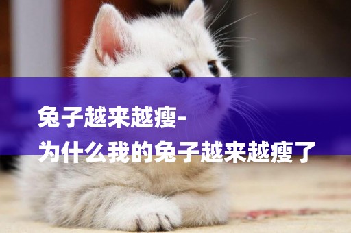兔子越來越瘦-
為什么我的兔子越來越瘦了