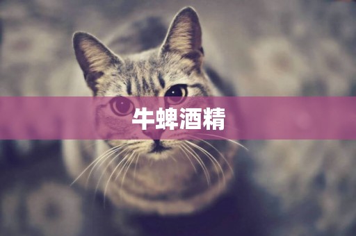 牛蜱酒精