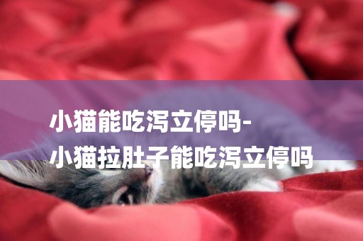 小貓能吃瀉立停嗎-
小貓拉肚子能吃瀉立停嗎