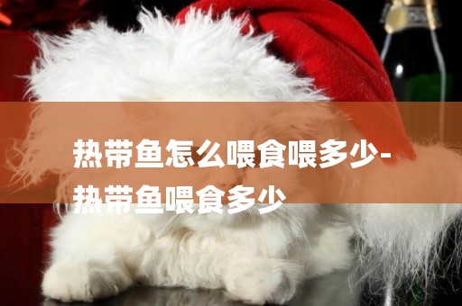 熱帶魚怎么喂食喂多少-
熱帶魚喂食多少