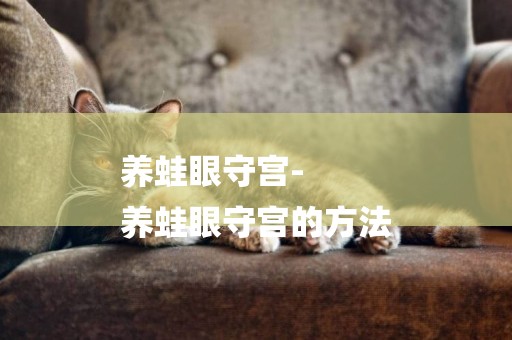 養蛙眼守宮-
養蛙眼守宮的方法