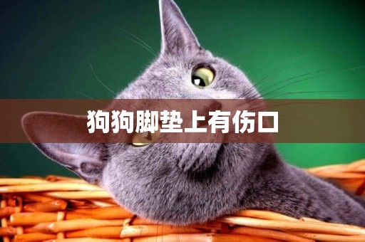 狗狗腳墊上有傷口