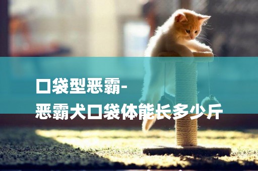 口袋型惡霸-
惡霸犬口袋體能長多少斤
