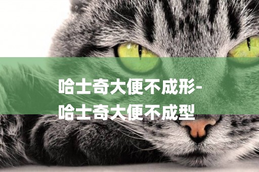哈士奇大便不成形-
哈士奇大便不成型
