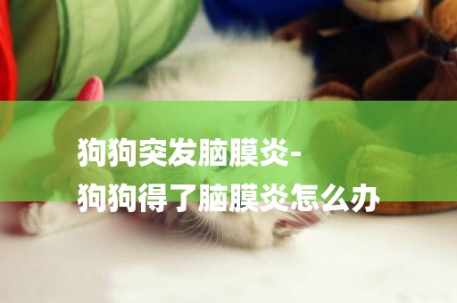 狗狗突發腦膜炎-
狗狗得了腦膜炎怎么辦