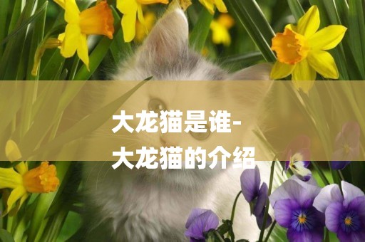 大龍貓是誰-
大龍貓的介紹