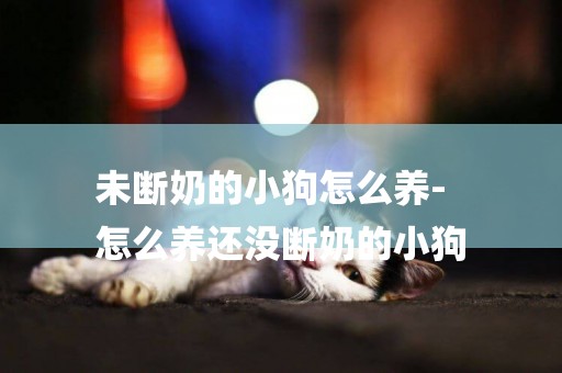 未斷奶的小狗怎么養-
怎么養還沒斷奶的小狗