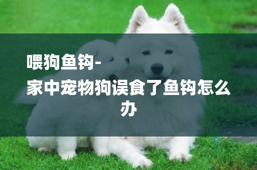 喂狗魚鉤-
家中寵物狗誤食了魚鉤怎么辦