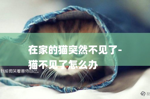 在家的貓突然不見了-
貓不見了怎么辦