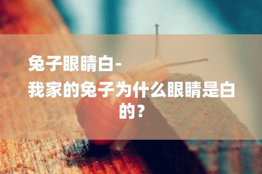 兔子眼睛白-
我家的兔子為什么眼睛是白的？