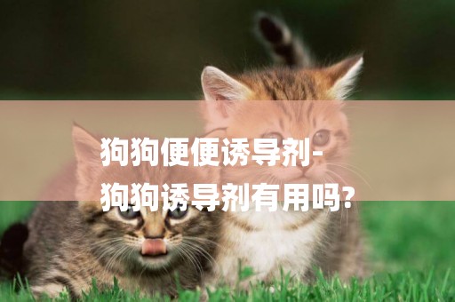 狗狗便便誘導劑-
狗狗誘導劑有用嗎?