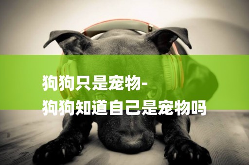狗狗只是寵物-
狗狗知道自己是寵物嗎