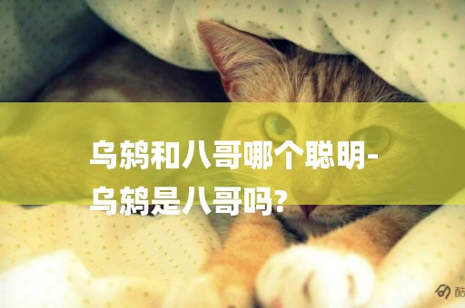 烏鶇和八哥哪個聰明-
烏鶇是八哥嗎?