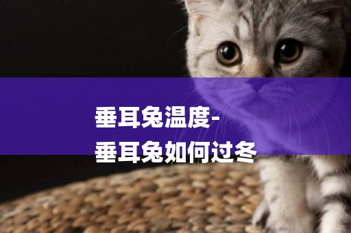 垂耳兔溫度-
垂耳兔如何過冬