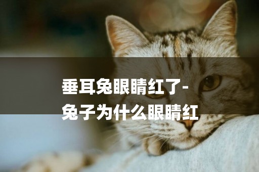 垂耳兔眼睛紅了-
兔子為什么眼睛紅