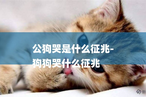 公狗哭是什么征兆-
狗狗哭什么征兆