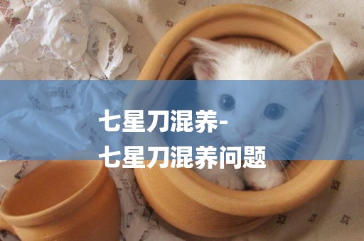 七星刀混養-
七星刀混養問題