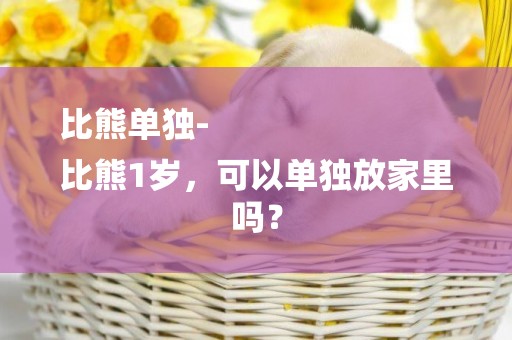 比熊單獨-
比熊1歲，可以單獨放家里嗎？