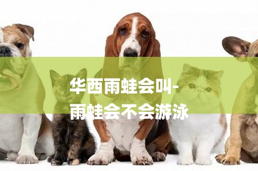 華西雨蛙會叫-
雨蛙會不會游泳
