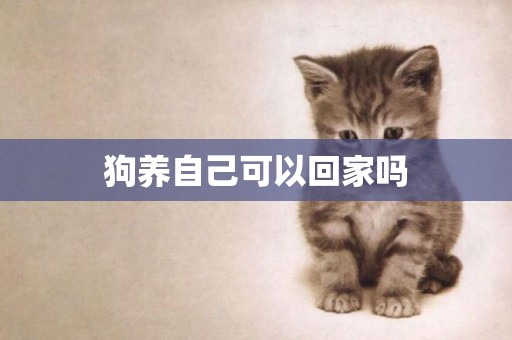狗養自己可以回家嗎