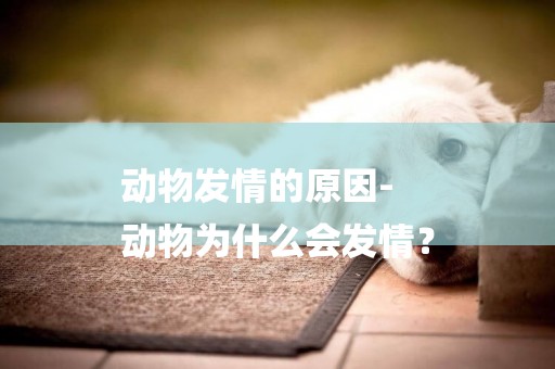 動物發情的原因-
動物為什么會發情？