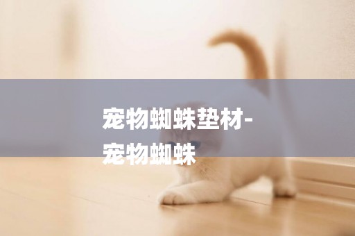 寵物蜘蛛墊材-
寵物蜘蛛