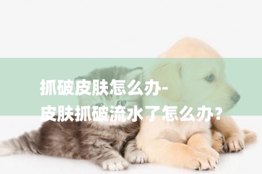抓破皮膚怎么辦-
皮膚抓破流水了怎么辦？