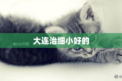 大連治細小好的